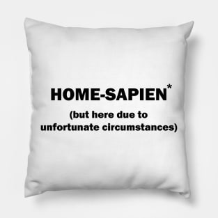 Home Sapien but here due to unfortunate circumstances Introvert Pillow