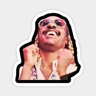 stevie wonder Magnet