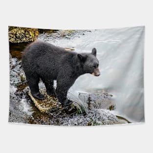 Black Bear at River's Edge Tapestry