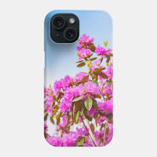 Vibrant Pink Rhododendron Blossoms and Blue Sky Phone Case