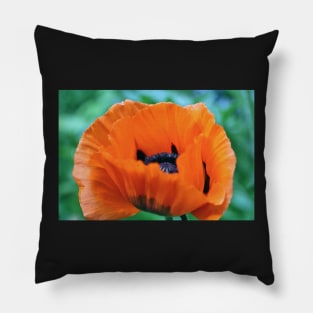 Red Poppy Pillow