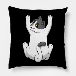 Cat on Hug Pillow