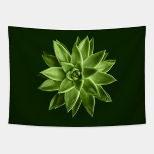 Greenery succulent Echeveria agavoides flower Tapestry