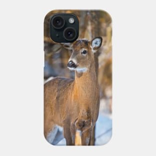 White-tailed Deer Phone Case