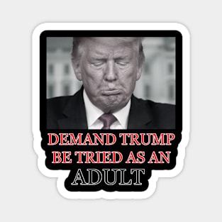 Demand Trump Be Tried As An Adult Magnet