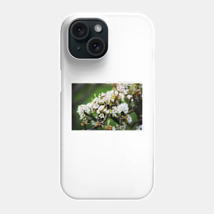 White Apple blossom Phone Case