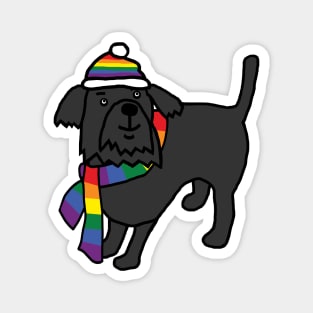 Cute Dog and Rainbow Pride Flag Hat and Scarf Magnet