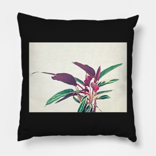 Prayer Plant II Pillow