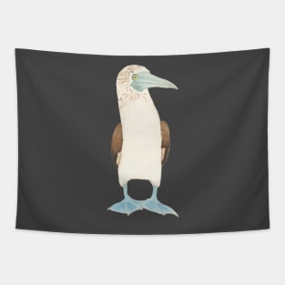 BLUE-FOOTED BOOBY - Watercolor Design Tapestry