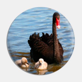 Swan Family Pin