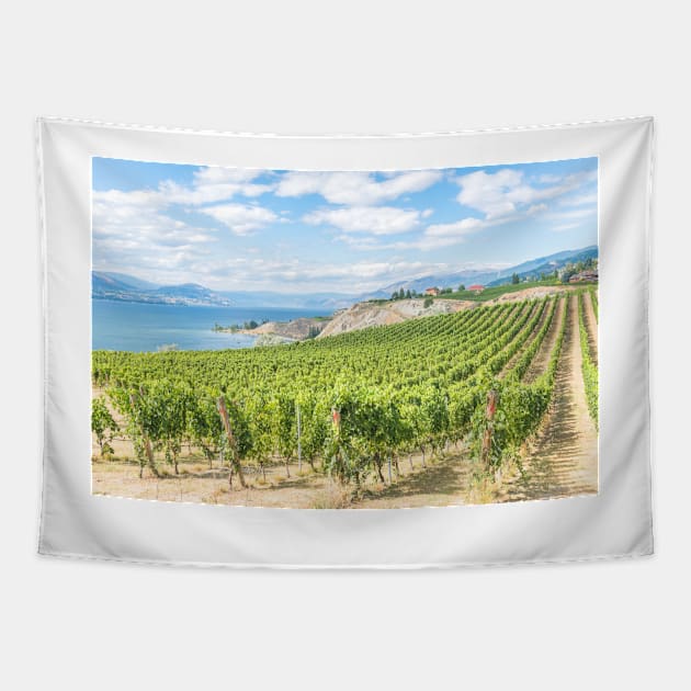 Okanagan Valley Vineyard View Tapestry by Amy-K-Mitchell