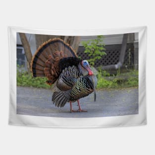 Urban Wild Turkey Tapestry