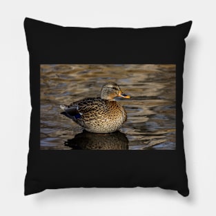 Female Duck Relaxing in the Lake Pillow