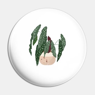 Polka Dot Begonia Pin