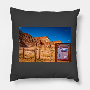 Toadstool Trail Entrance Sign Pillow