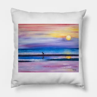 Delta Muga river in Empuriabrava Pillow