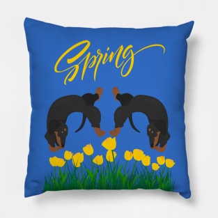 Dachshund Dog with Tulip Flowers and Spring Sign Pillow