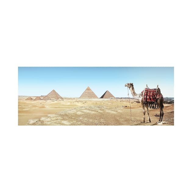 Camel and Pyramid by kawaii_shop