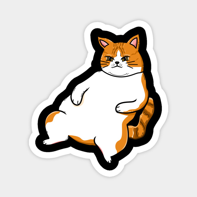 Top 28 Fat Cat Memes California Memes