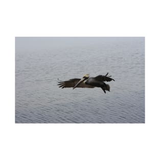 Brown pelican in flight T-Shirt