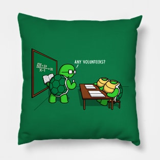 Turtle School! Pillow