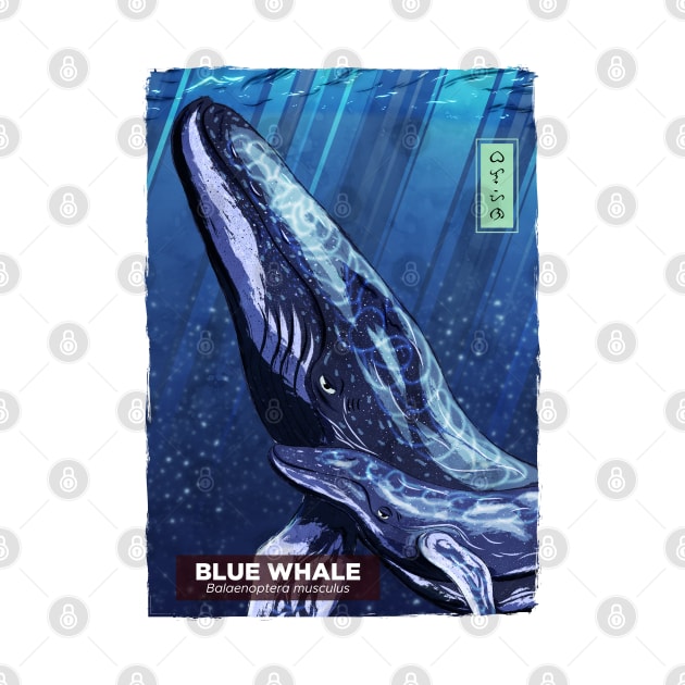 Blue Whale - White by Thor Reyes