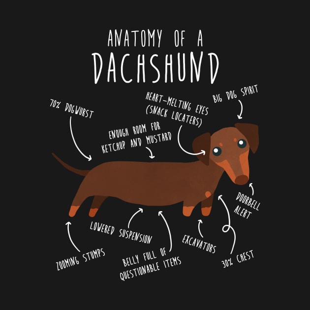 Chocolate and Tan Dachshund Dog Anatomy by Psitta