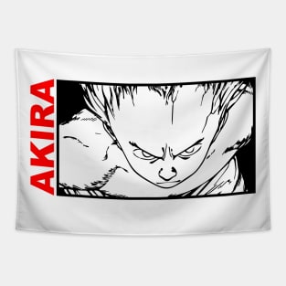 akira tetsuo Tapestry