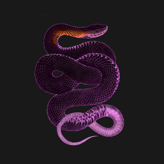 serpent,cobra,reptile,viper,venom,lizard,rattlesnake,king cobra,dragon,hydra,poison,venomous,plumber's snake,pythonidae,pythons,auger,python,squamata,serpentine,worm,big,ophidian,rattlesnakes,medusa,snakebite by vabontchi