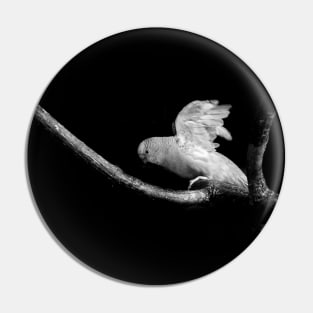 Flying Parakeet in Black and White Pin