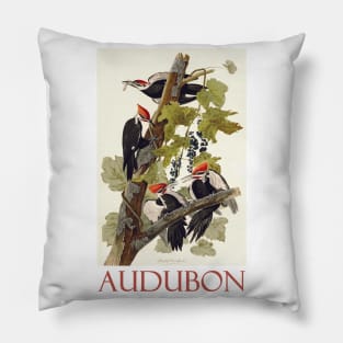 Pileated Woodpecker by John James Audubon Pillow