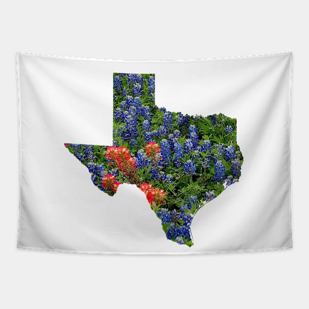 Red and Bluebonnets Blooming in Hillcountry fields in the state of Texas Tapestry by Star58