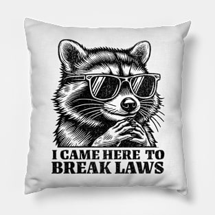 I Came Here to Break Laws Pillow