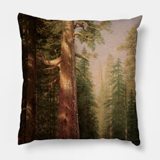 Great Trees, Mariposa Grove, California by Albert Bierstadt Pillow