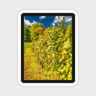 Vineyard-autumn painting, oil painting, nature Magnet