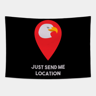 just send the location - Khabib the eagle Nurmagomedov Tapestry