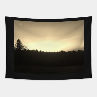 Sunset over a forest in Switzerland Tapestry