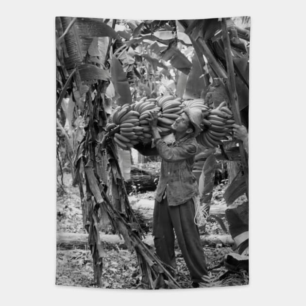 Ecuador Banana Plantation Tapestry by In Memory of Jerry Frank