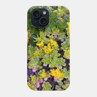 Stonecrops in Spring Phone Case