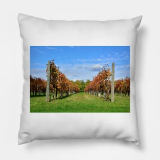 Autumnal Grape Vines Pillow