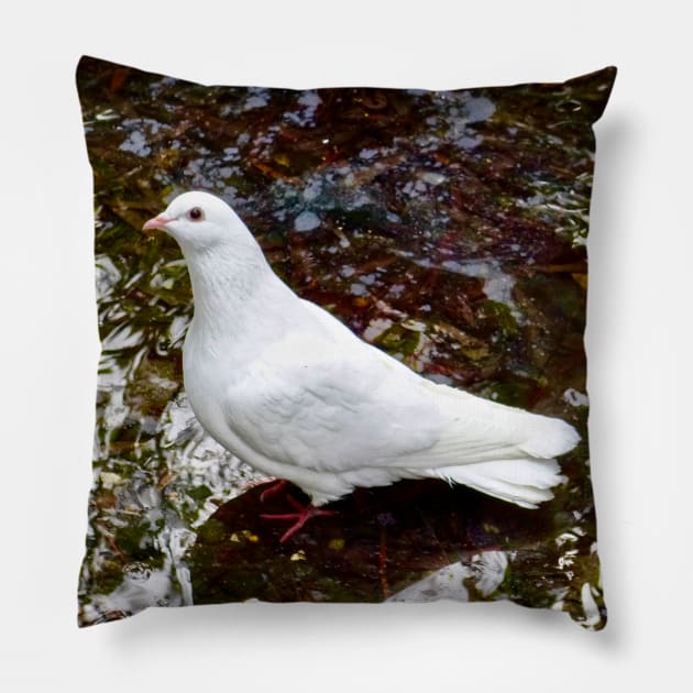 The White Dove Pillow by Mickangelhere1