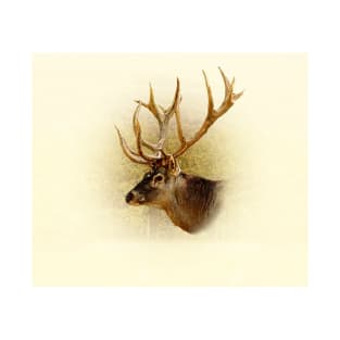 Deer portrait T-Shirt