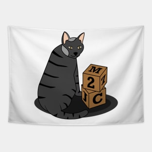 Funny black cat with cubes Tapestry