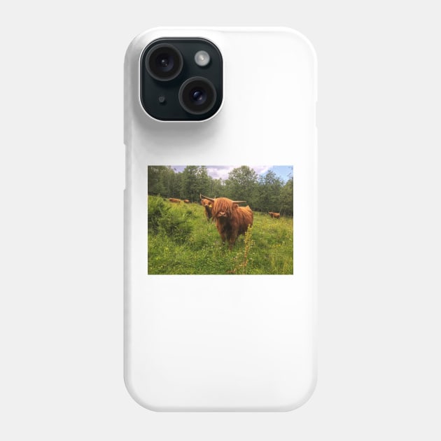 Scottish Highland Cattle Calf 2031 Phone Case by SaarelaHighland