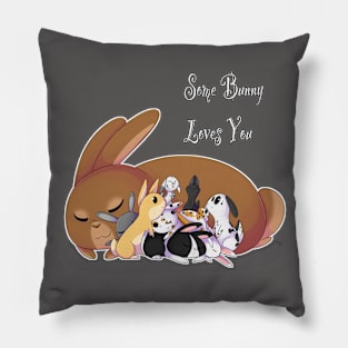 Some Bunny Loves You Pillow