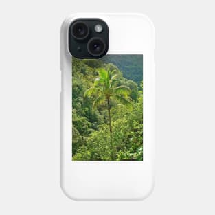 Iao Valley State Monument Study 3 Phone Case