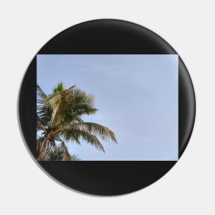 Palm tree and blue skies Pin