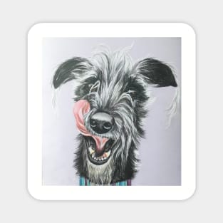 Cheeky scruffy Lurcher Magnet