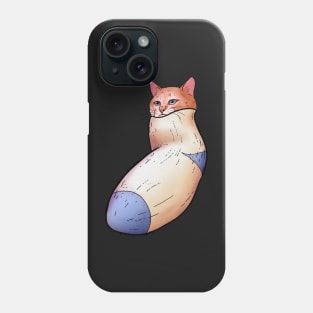 Cat in a sock Phone Case