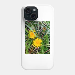 Spring 2019 Study 2 Phone Case